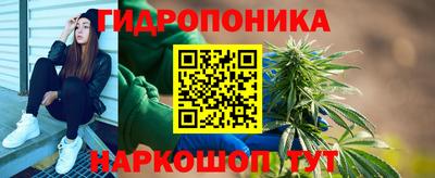 стафф Бийск