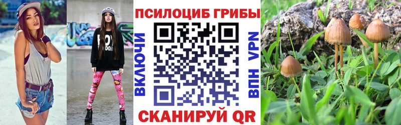 Галлюциногенные грибы Psilocybe  цена наркотик  Волгодонск 