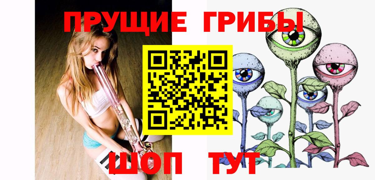 Галлюциногенные грибы Cubensis Волгодонск
