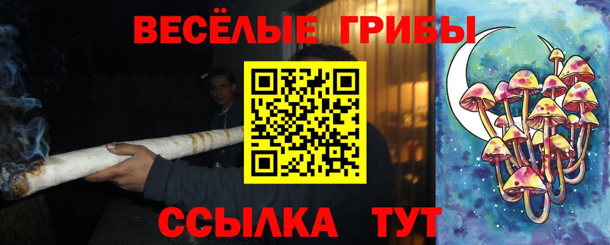 Галлюциногенные грибы Psilocybine cubensis  Вход с VPN  Волгодонск  Псилоцибиновые грибы прущие грибы 